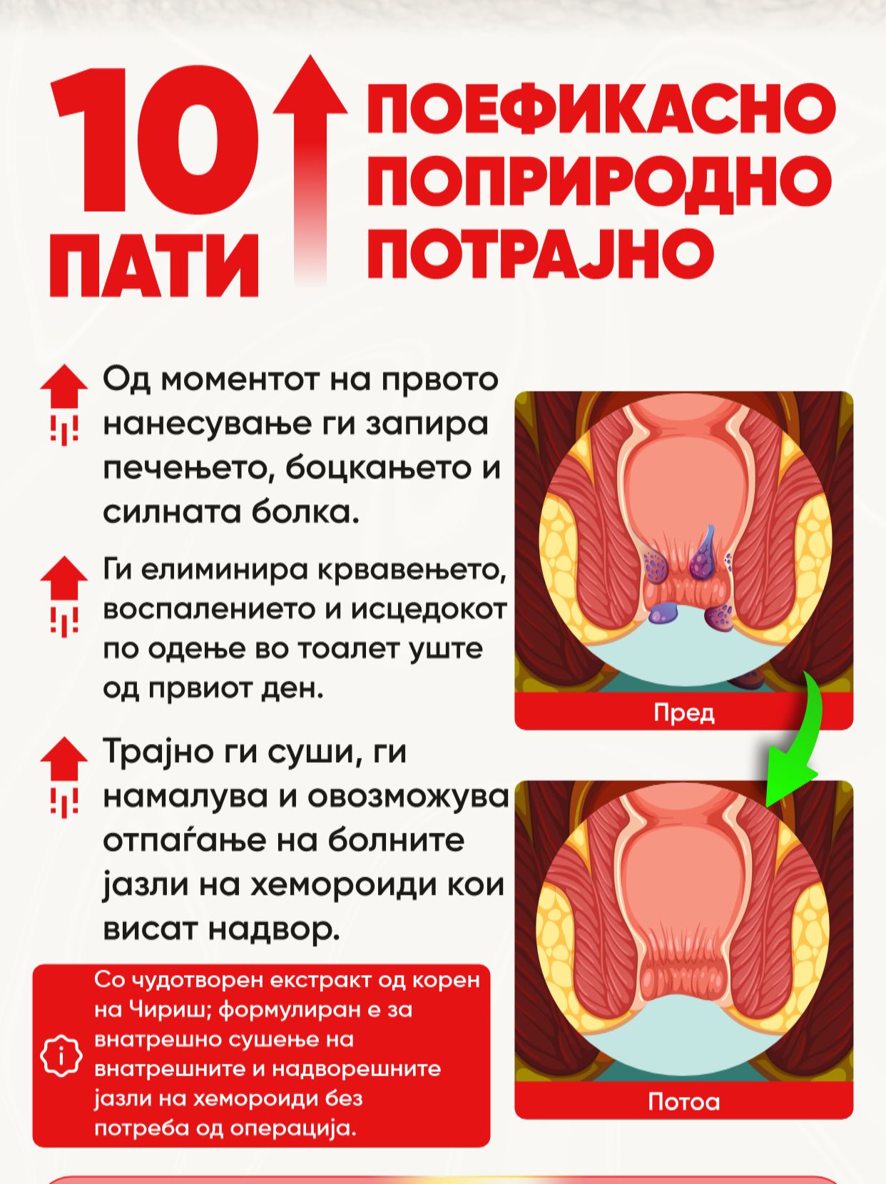 Promotional Imasge 1